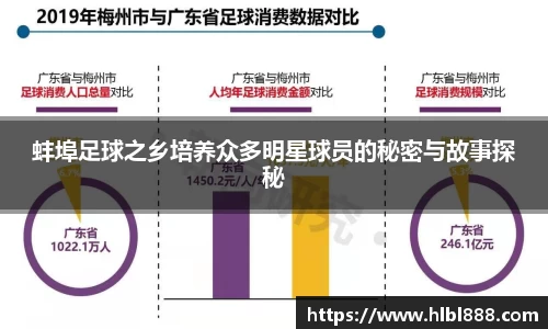 蚌埠足球之乡培养众多明星球员的秘密与故事探秘